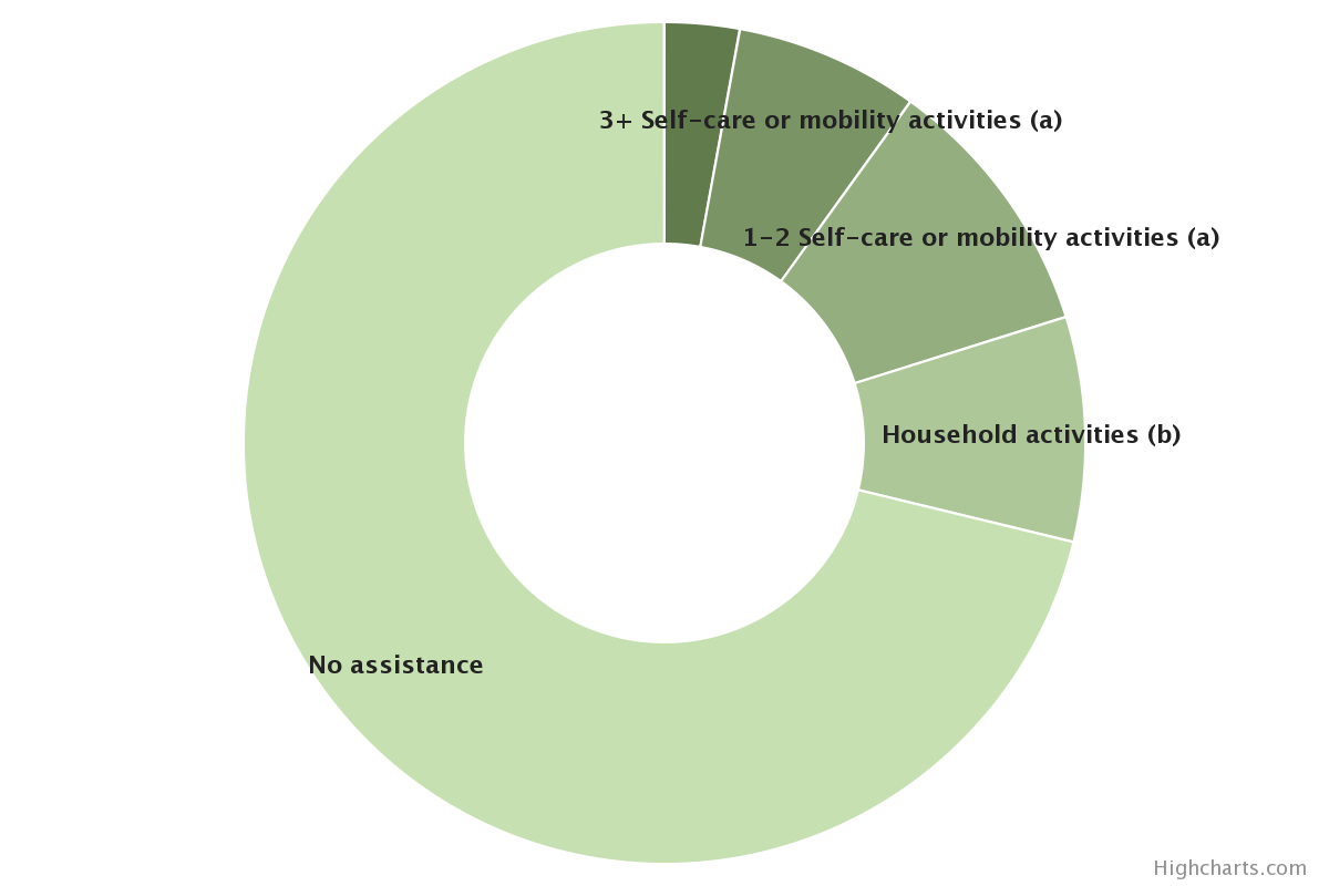 Types of Assistance Received by Older Americans